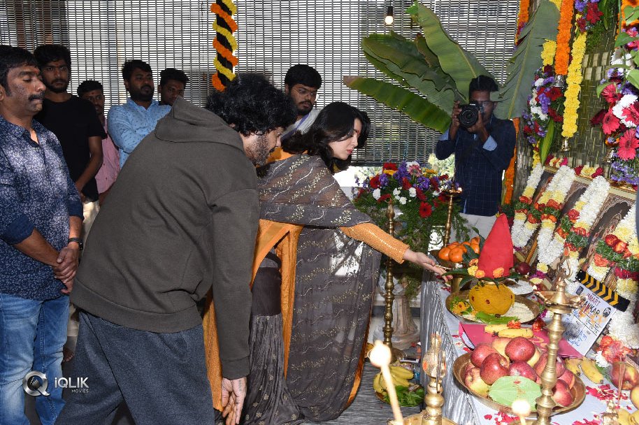 Ismart-shankar-Movie-Launch-Photos